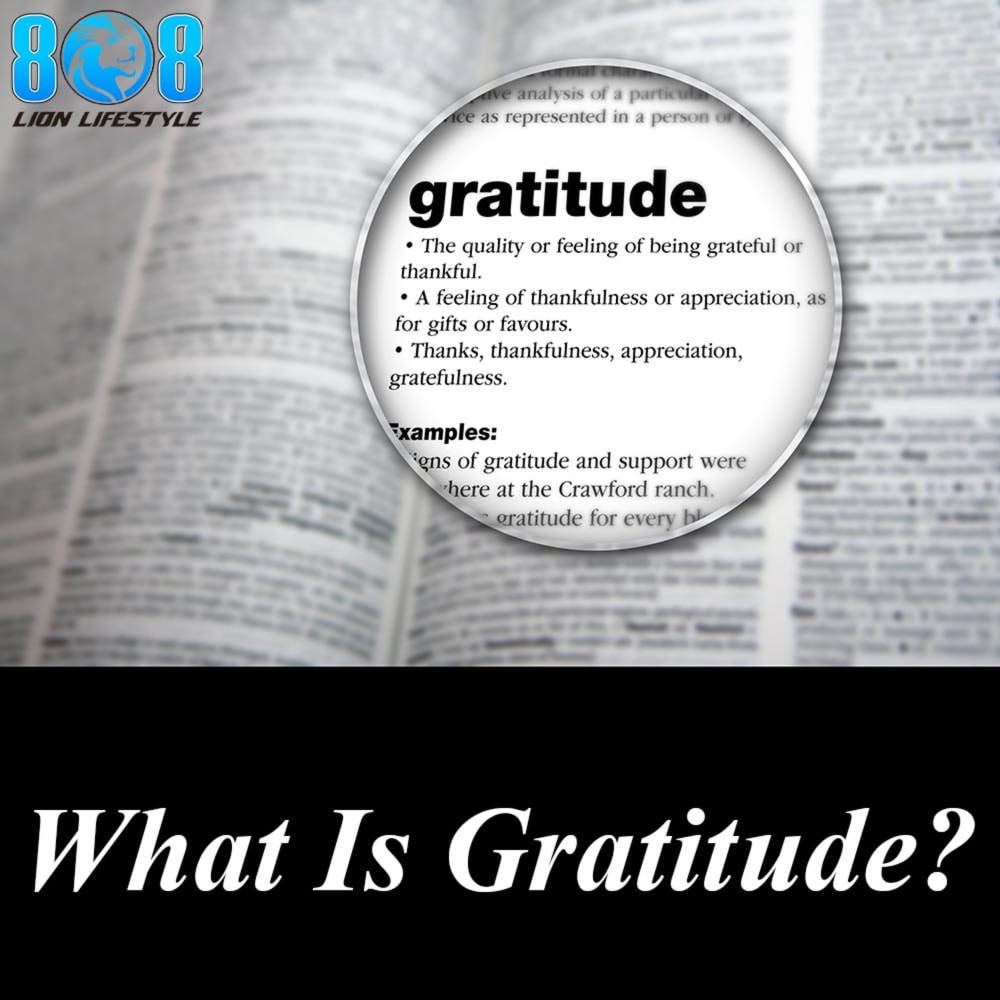 What Is Gratitude? Experience empowerment, enlightenment, harmony, and thanksgiving.