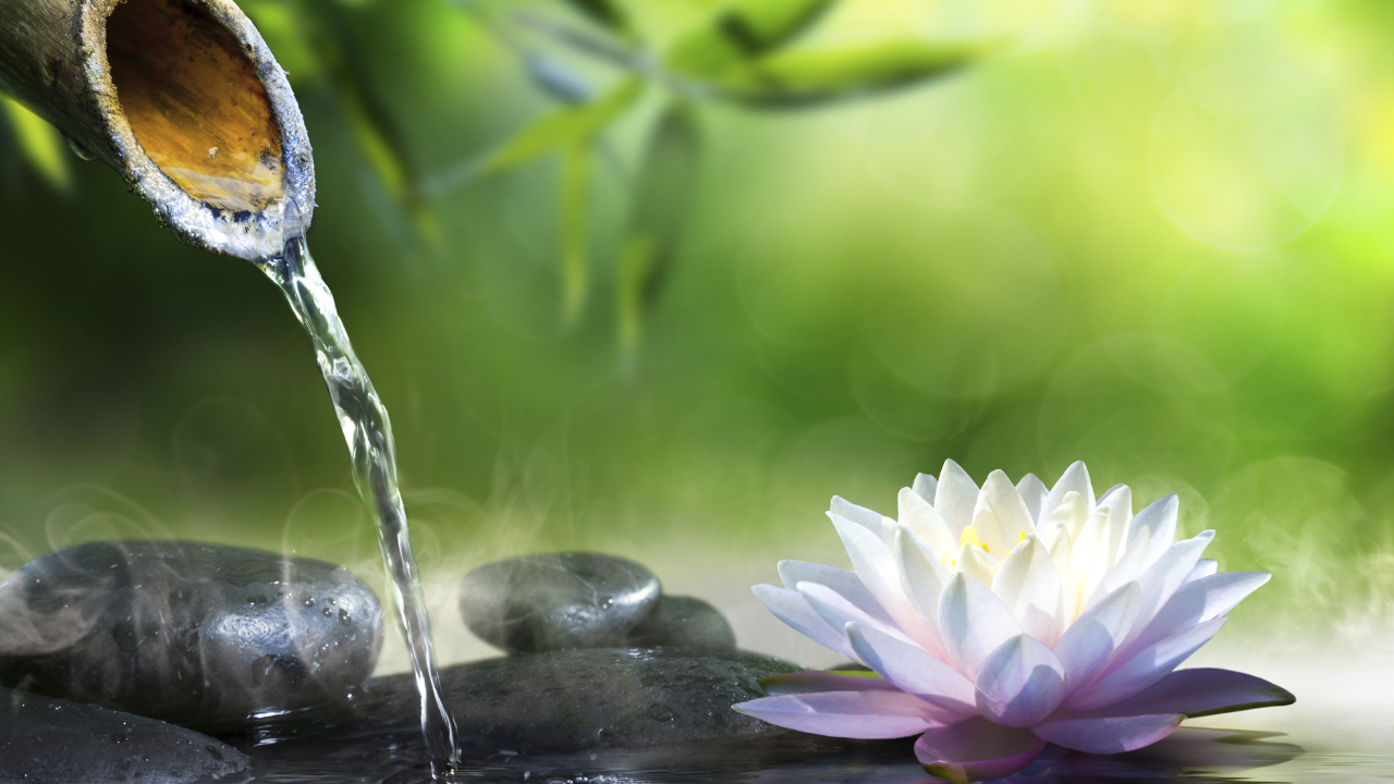 personal growth